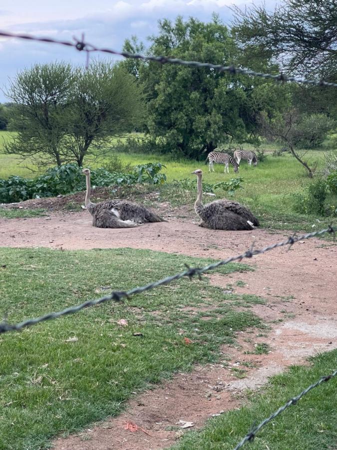 Kings View Exclusive Villas Pretoria-Noord エクステリア 写真