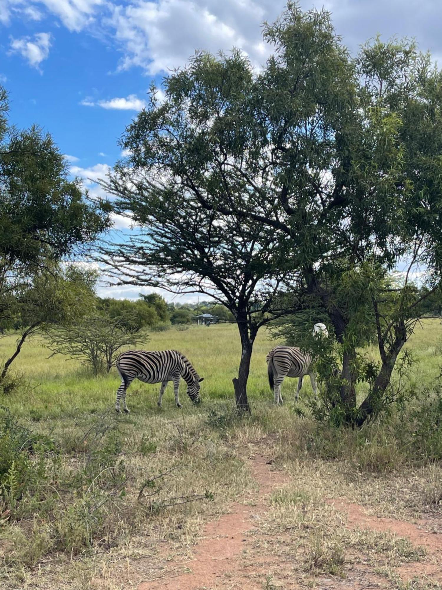 Kings View Exclusive Villas Pretoria-Noord エクステリア 写真
