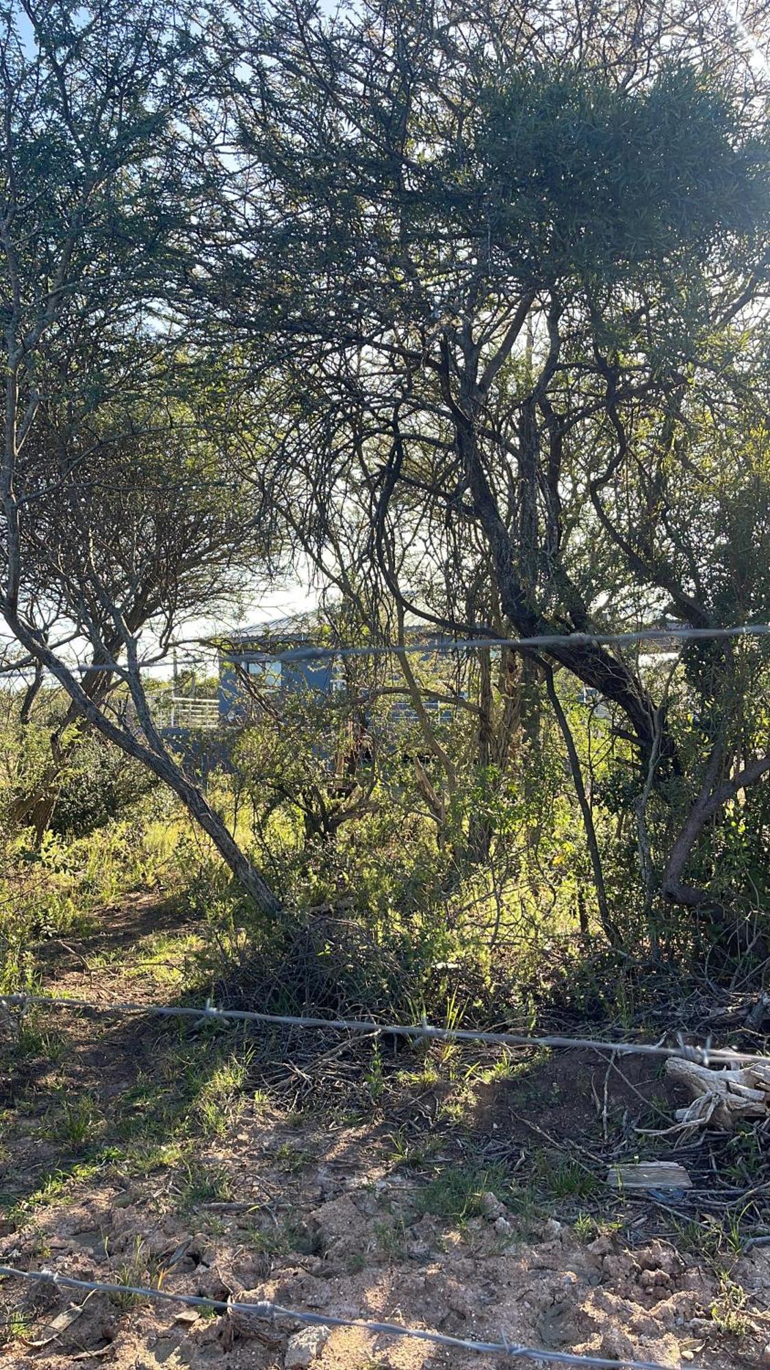 Kings View Exclusive Villas Pretoria-Noord エクステリア 写真
